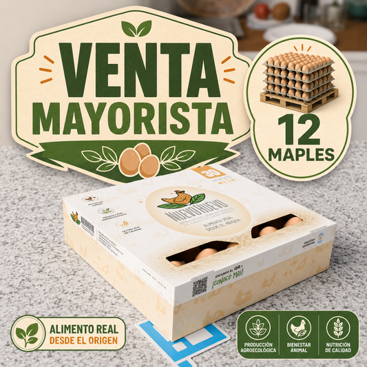 12 Maples (Pedido Mayorista)