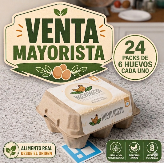 24 Packs de 6 Huevos